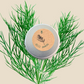 Organic Dill Seeds