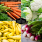 10 Vegetable Seed Collection – Heirloom Non-GMO Garden Vegetables for Home Growing and Food Security