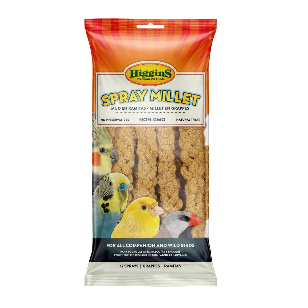 Higgins Spray Millet Bird Treats Non-GMO Natural Foraging All Birds 5lbs.