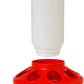 Little Giant Poultry Chicken Plastic Feeder Combo Set