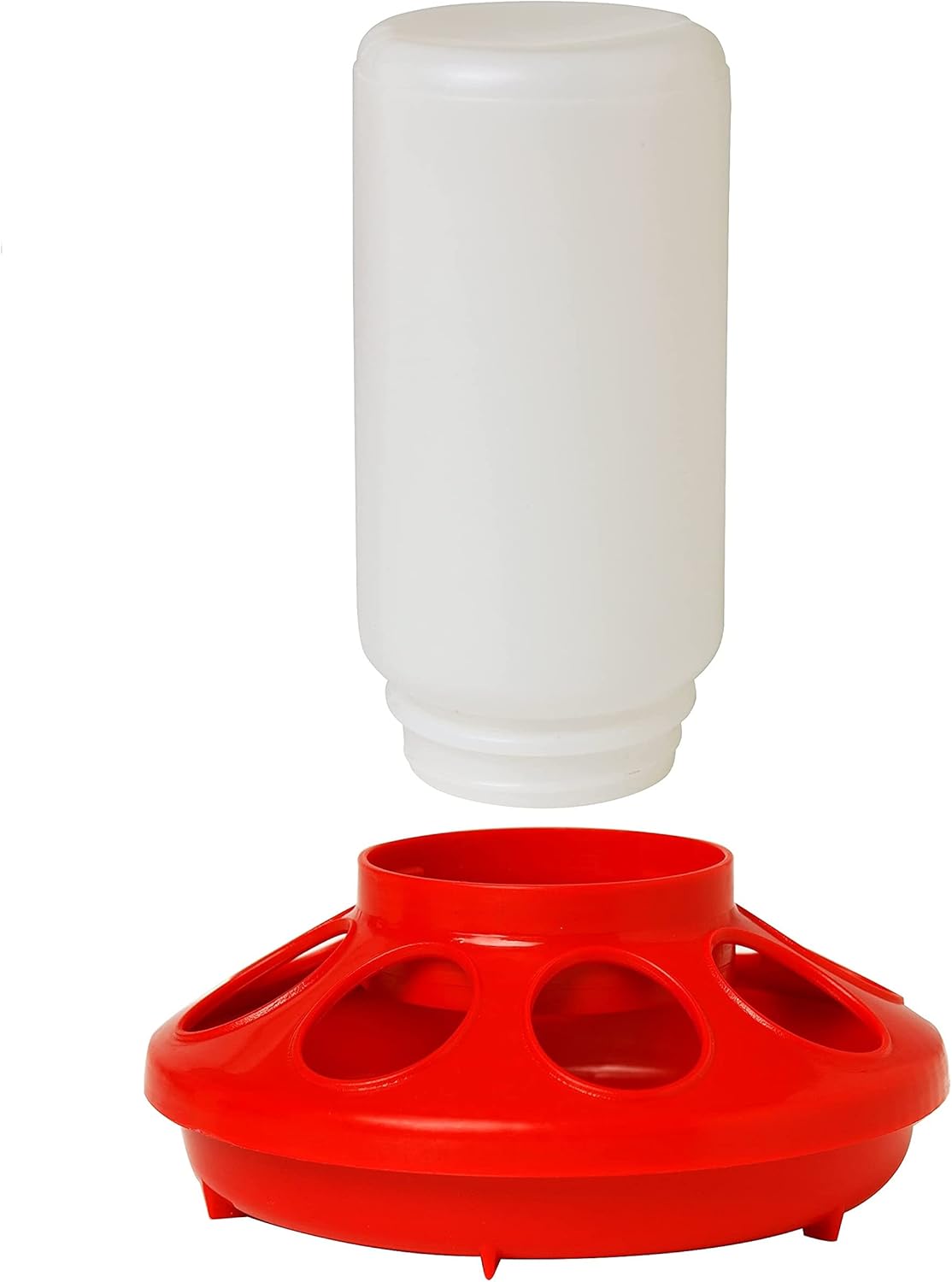 Little Giant Poultry Chicken Plastic Feeder Combo Set