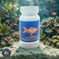 Fish Ceph 500mg Capsules for Aquarium Fish – 60 Count – Water Care Support