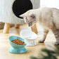 Ceramic Raised Cat Bowls