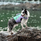 TrueLove Life Vest TLY1951