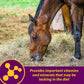 Horse Health Red Cell Vitamin-Iron-Mineral Supplement for Horses Gallon
