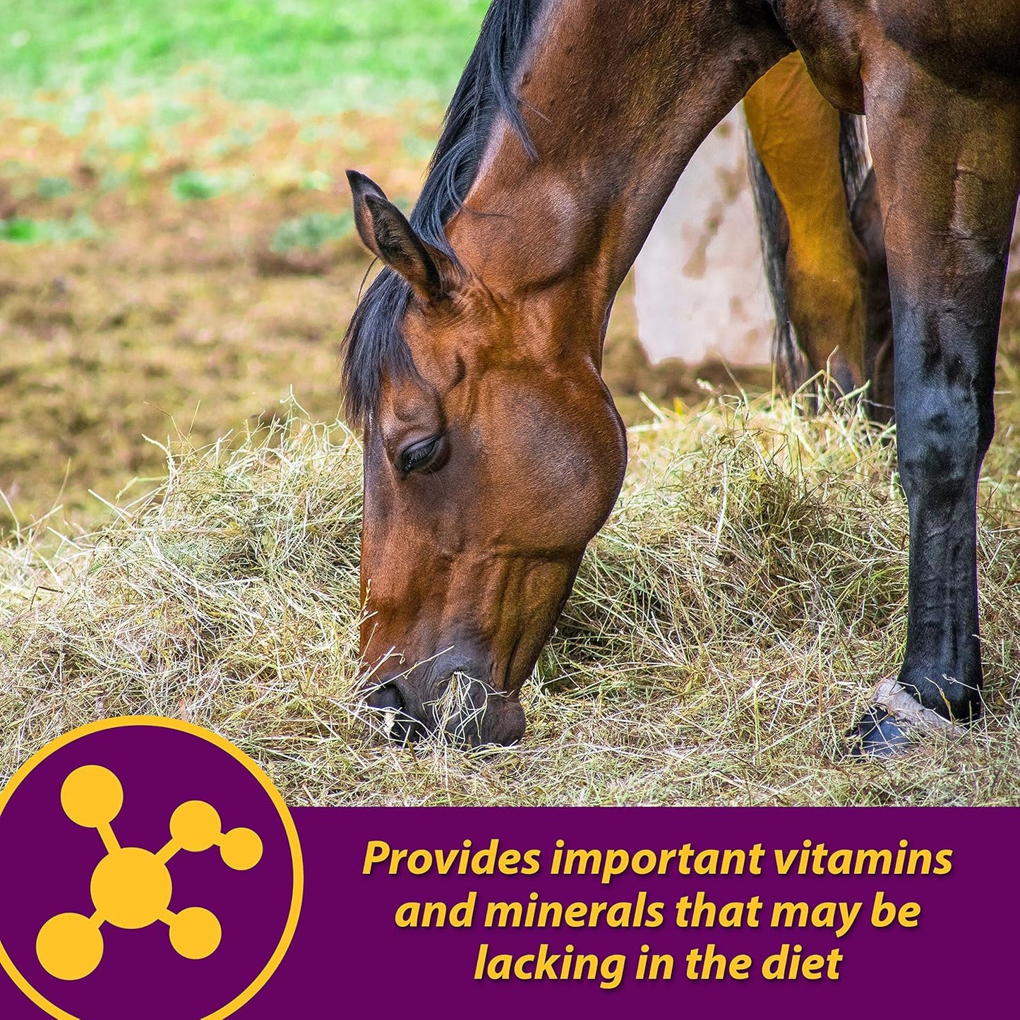 Horse Health Red Cell Vitamin-Iron-Mineral Supplement for Horses Gallon