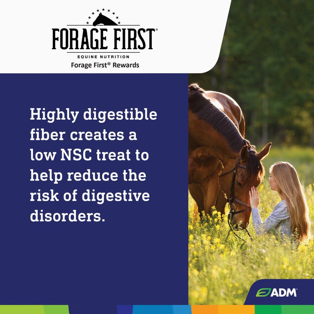ADM Forage First Horse Rewards Apple Flavored Horse Treat 3lbs.