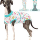 Female Dog Recovery Suit After Spay, XS–2XL