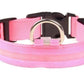 LED Adjustable Dog Collar- 5 Sizes 7 Colors  Blinking Flashing/Solid