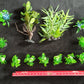Premium Artificial Aquarium Plant Package for Fish Tank. NATURE AT ITS BEST