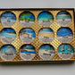 Destination Shower Steamers Gift Set with 12 Aromatherapy Shower Bombs - 100% Essential Oil Blends - fun - summery scents