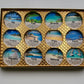 Destination Shower Steamers Gift Set with 12 Aromatherapy Shower Bombs - 100% Essential Oil Blends - fun - summery scents