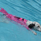 Mermaid Shark Pet Dog Swimming Life Vest Adjustable Dog Life Jacket for Small Large Pet Dog Summer Dog Life Aid Vest Swimwear
