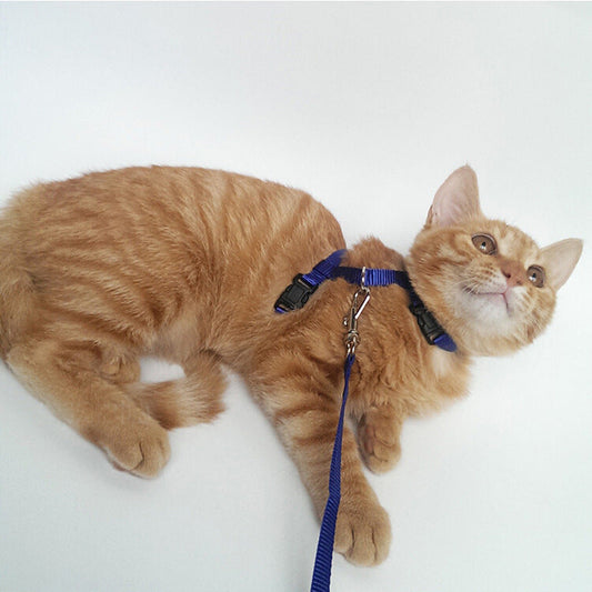 I-shaped solid color cat chest and back