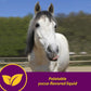 Horse Health Red Cell Vitamin-Iron-Mineral Supplement for Horses Gallon