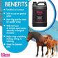 EQyss Micro-Tek Equine Spray Gallon pH Balanced Horse Skin Coat Care