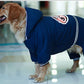 Heavy Padded Clothes For Big Dogs And Pets