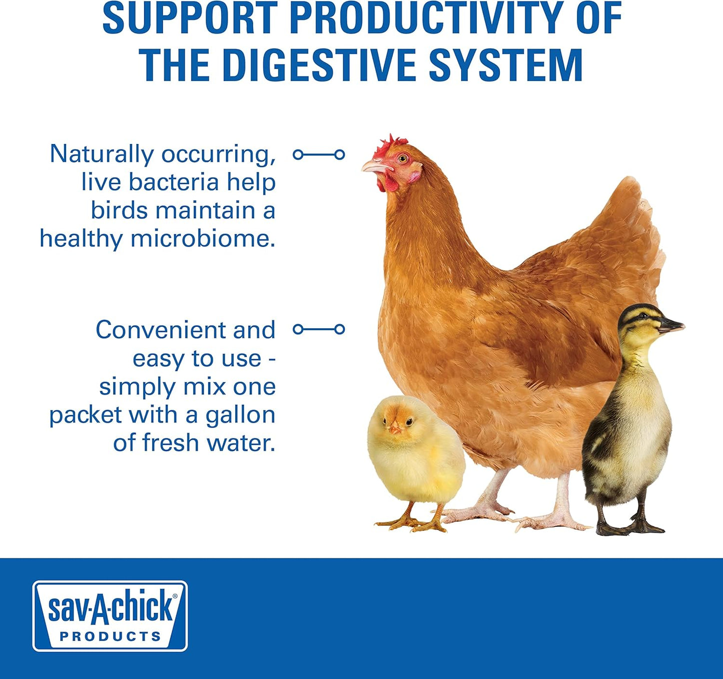 Sav-A-Chick Probiotic Digestive Health Supplement Poultry 3PCK