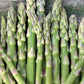Asparagus Mary Washington 1 Gram Seeds - Heirloom Non-GMO Variety for Perennial Vegetable Gardening - Tender & Delicious Stalks