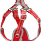 Pet Small And Medium Sized Dog Vest Collar Traction Rope
