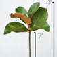 14" Faux Magnolia Leaf Stem