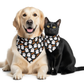 Piccardmeds4pets Hot Spot Anti-Itch Max Strength Pet Shampoo 12 oz. + FREE Bandana!