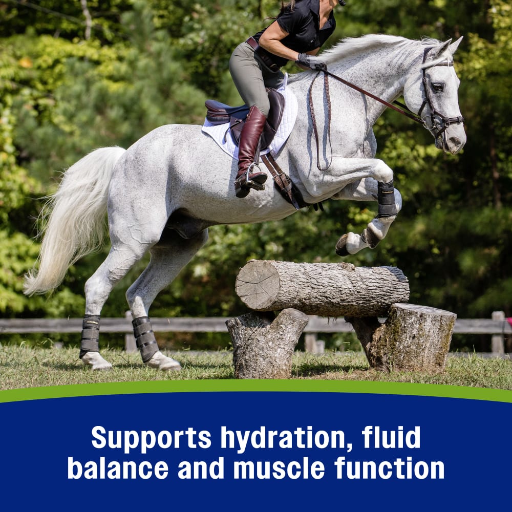 Farnam Apple Elite Electrolyte Powder for Horses Hydration Support Apple Flavor 5lb.