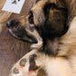 Commemorative Photo Album For Children And Pets Fingerprint Rubbing Postcard DIY Pet Supplies
