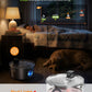 Wireless Dog Water Fountain Stainless Steel 3.4Gal Large Pet Fountain