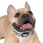 Watercolor Horizon Stripes in Dusk and Seafoam - Pet Collar Pet Zen