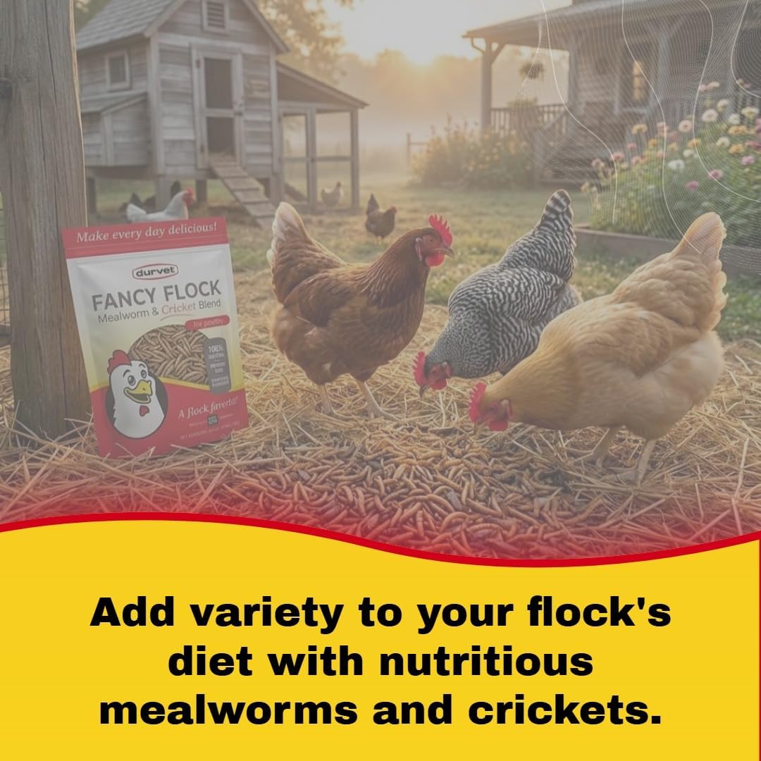 Durvet Fancy Flock Mealworm & Cricket Bird Treats High Protein Chicken Treats 16 oz.