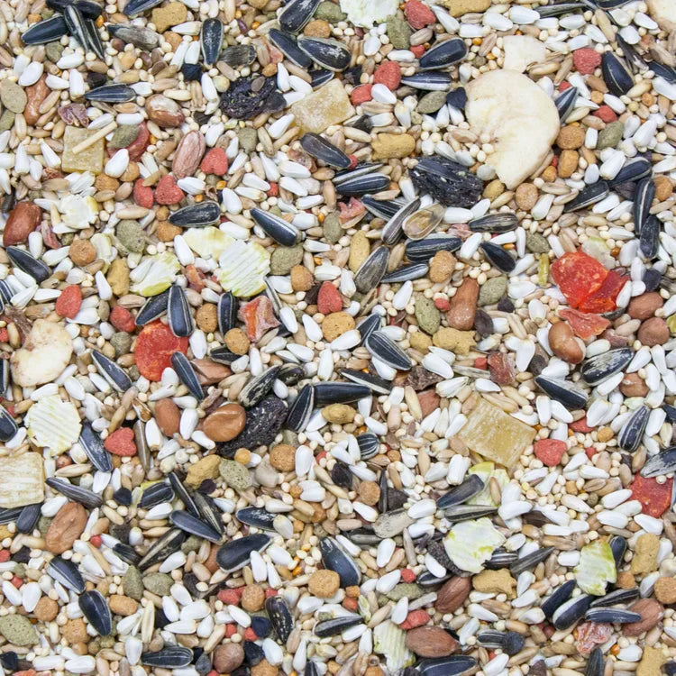 Higgins Vita Seed Conure & Lovebird Food 2.5 lb Premium Seed Blend Probiotics DHA