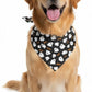 Piccardmeds4pets Digi-Eaze Probiotic Paste for Dogs Easy Dosing 30cc + FREE Bandana!