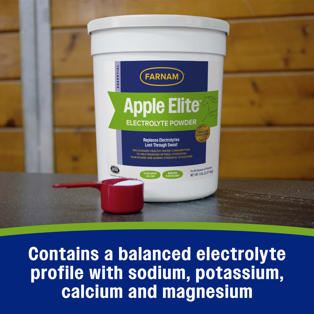 Farnam Apple Elite Electrolyte Powder for Horses Hydration Support Apple Flavor 5lb.