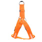 Dog Leashing Vest With Led Illuminated Chest Back