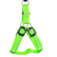 Dog Leashing Vest With Led Illuminated Chest Back