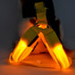 Dog Leashing Vest With Led Illuminated Chest Back