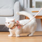 Japanese Butterfly Vest Traction Rope Nylon Webbing Cat Chest Strap
