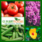 Growth Impact Super Plant Vitamins and Hormones- 8 ounce bottle