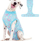 Dog Recovery Onesie Suit After Surgery – 4 Colors, XS–2XL
