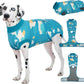 Female Dog Recovery Suit After Spay, XS–2XL