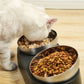 Pet Neck Protection Cat Oblique Mouth Anti-tumble Bowl
