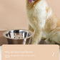 Pet Slow Food Stainless Steel Bowl And Tableware