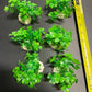 PREMIUM Small Artificial Aquarium Plants - Set of 6 - Aquatics Safe