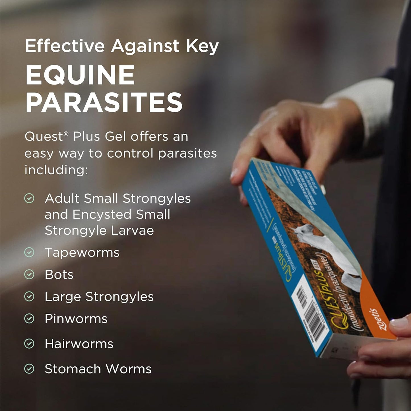 Zoetis Quest Plus Horse Wormer Gel Moxidectin Praziquantel Paste Tube