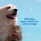 Adams Flea & Tick Spray for Dogs & Cats 16 oz. Kills Fleas Eggs Larvae Ticks