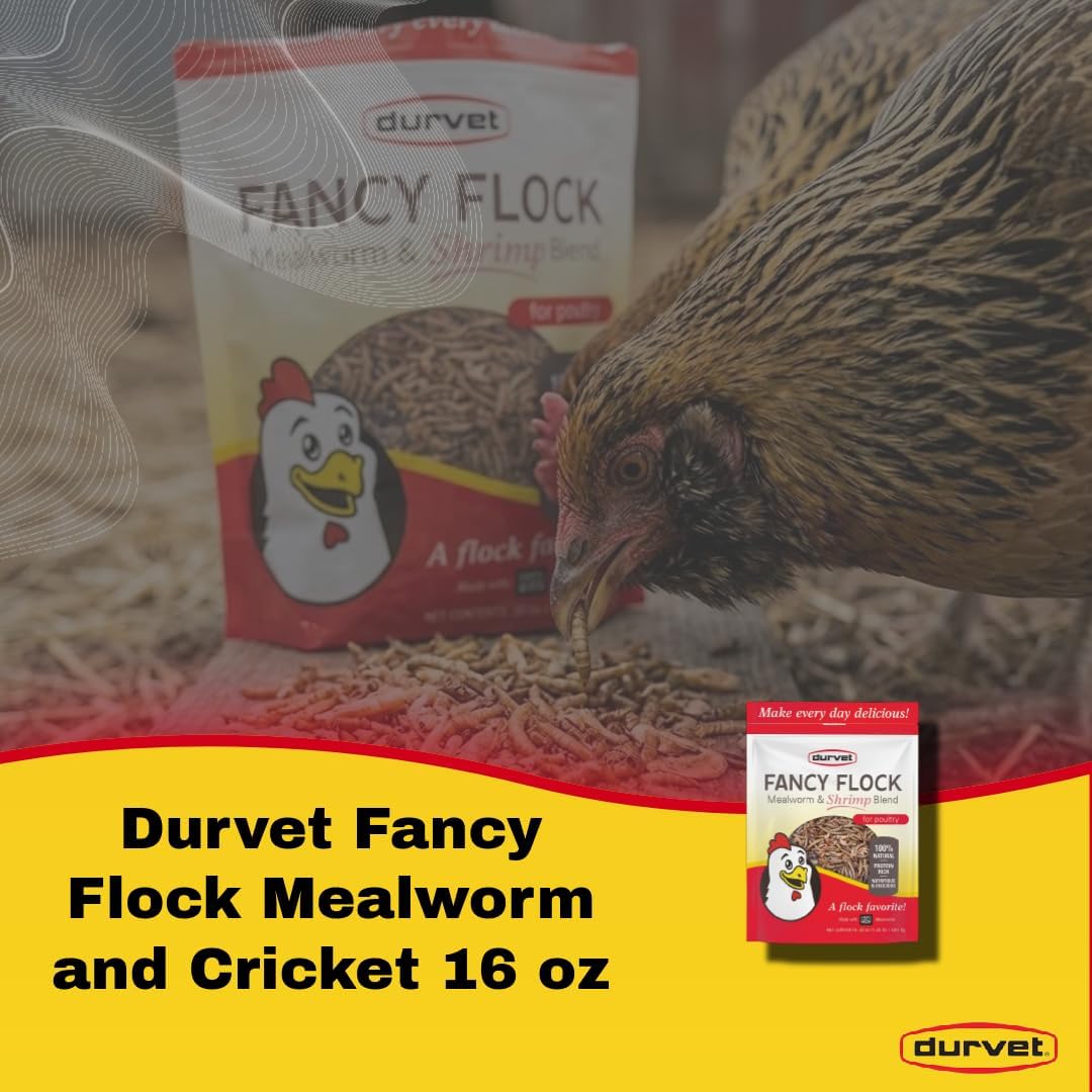 Durvet Fancy Flock Mealworm & Cricket Bird Treats High Protein Chicken Treats 16 oz.