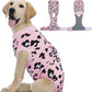 Dog Recovery Onesie Suit After Surgery – 4 Colors, XS–2XL