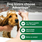 12 Oz Flea & Tick Shampoo for Puppies & Adult Dogs .