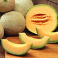 200 IROQUOIS CANTALOUPE Melon Fruit Cucumis Melo Seeds